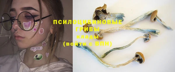 мет Горнозаводск