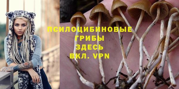 марки lsd Горно-Алтайск